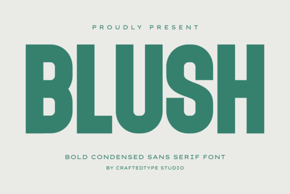 Blush: A Bold, Modern Sans Serif for Impactful Design