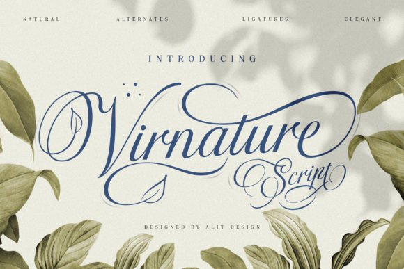 Virnature: A Font Where Elegance Meets Nature